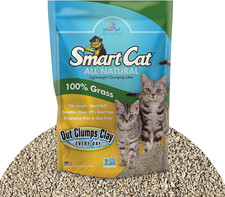 All Natural Clumping Cat Litter, 10 Pound 160Oz 1 Pack - Alternative to Clay a