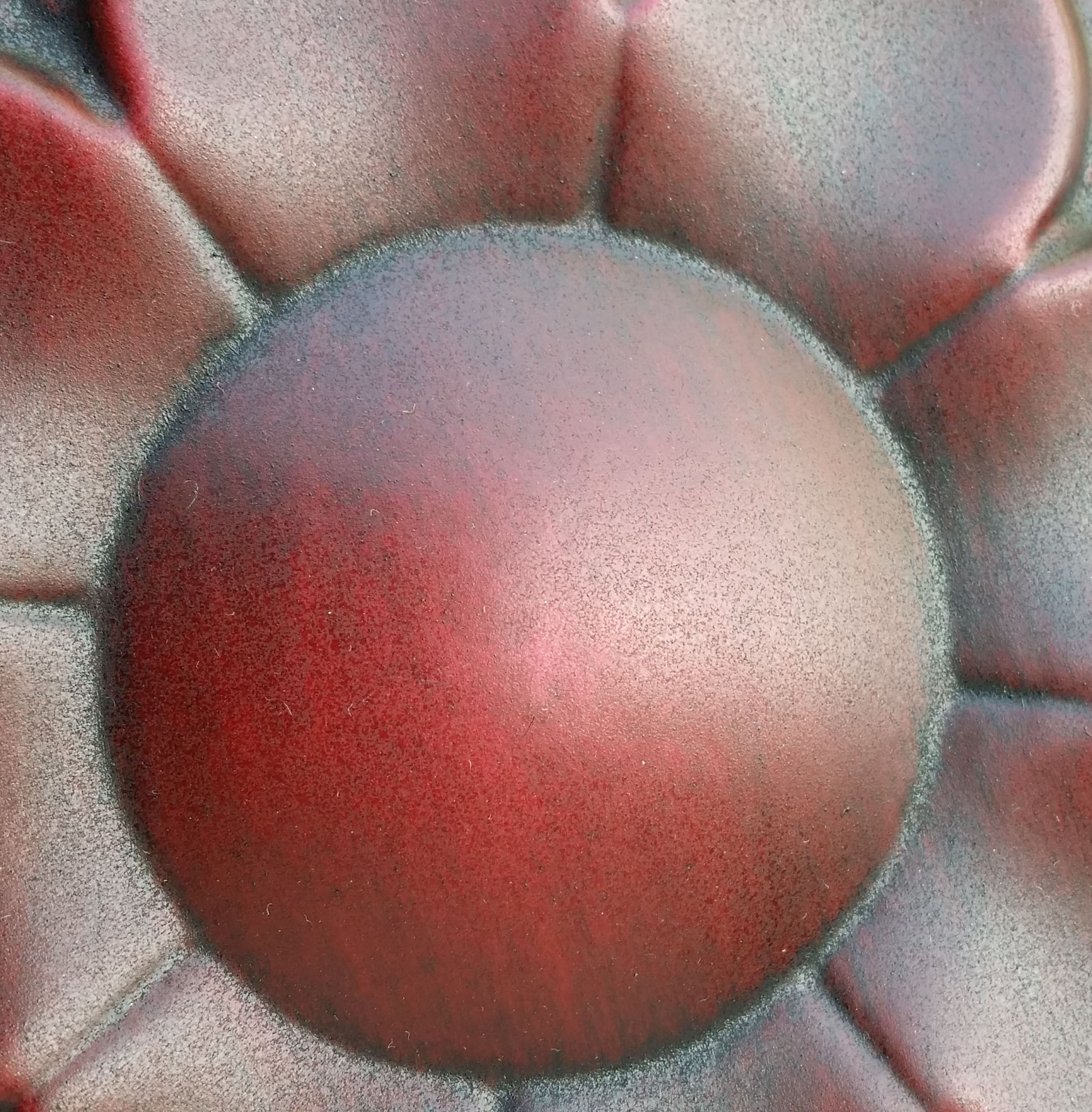 Picture 6 of 12