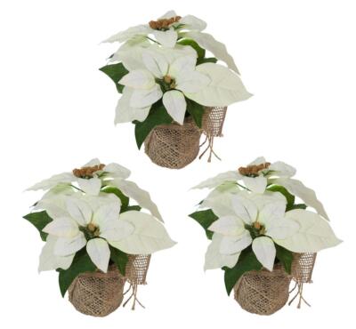Knstlicher Weihnachtsstern Poinsettie Kunstblumen Christstern Dekopflanze  3 Stk | eBay.de