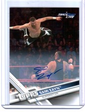 2017 Topps WWE Then Now Forever Wrestling Cards 14