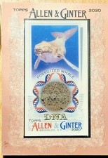 2020 Allen and Ginter Fossilized Whale16 /25