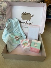 pusheen winter box 2021 portion of box - Large