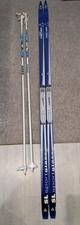 Fischer SL Sportglass cross-country skis with bindings and EXEL ski poles