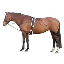 Lunging Aid for Horses Compatible with Pessoa Training System 