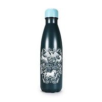 Water Bottle Metal 500Ml - Harry Potter Expecto - Paperback - G245Z