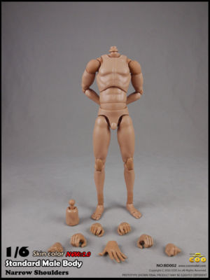 NEW:2.0 COOMODEL BD002 1/6 standard narrow shoulders 27cm High male Figure Body