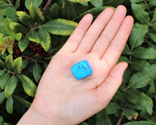 1/2 lb Bulk Lot Blue Howlite Tumbled Stone Crystal Tumbled Blue Turquoise 8 oz - 第 8/8 張圖片