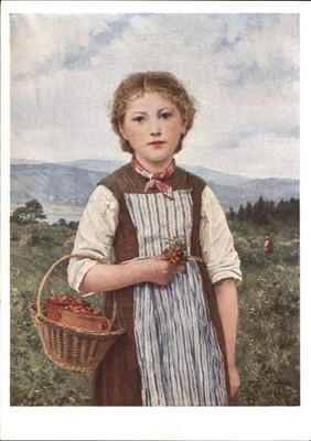 Anker Albert Nr. 1508 Erdbeer-Mareili