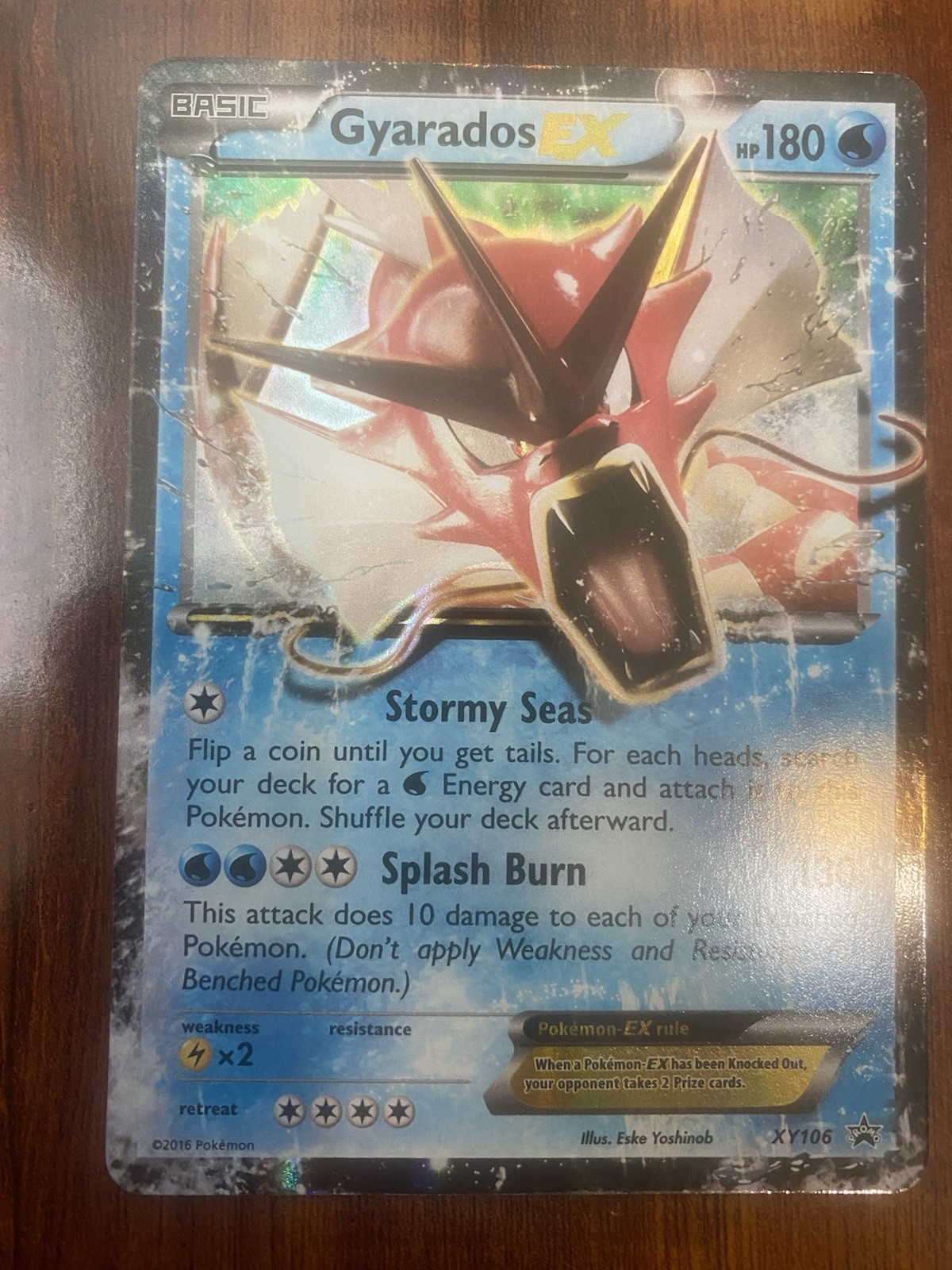 Pokemon Gyarados EX XY106 Black Star Promo Holo 2016 XY NM
