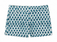 Ann Taylor Loft Riviera Green Teal Shorts Size 4