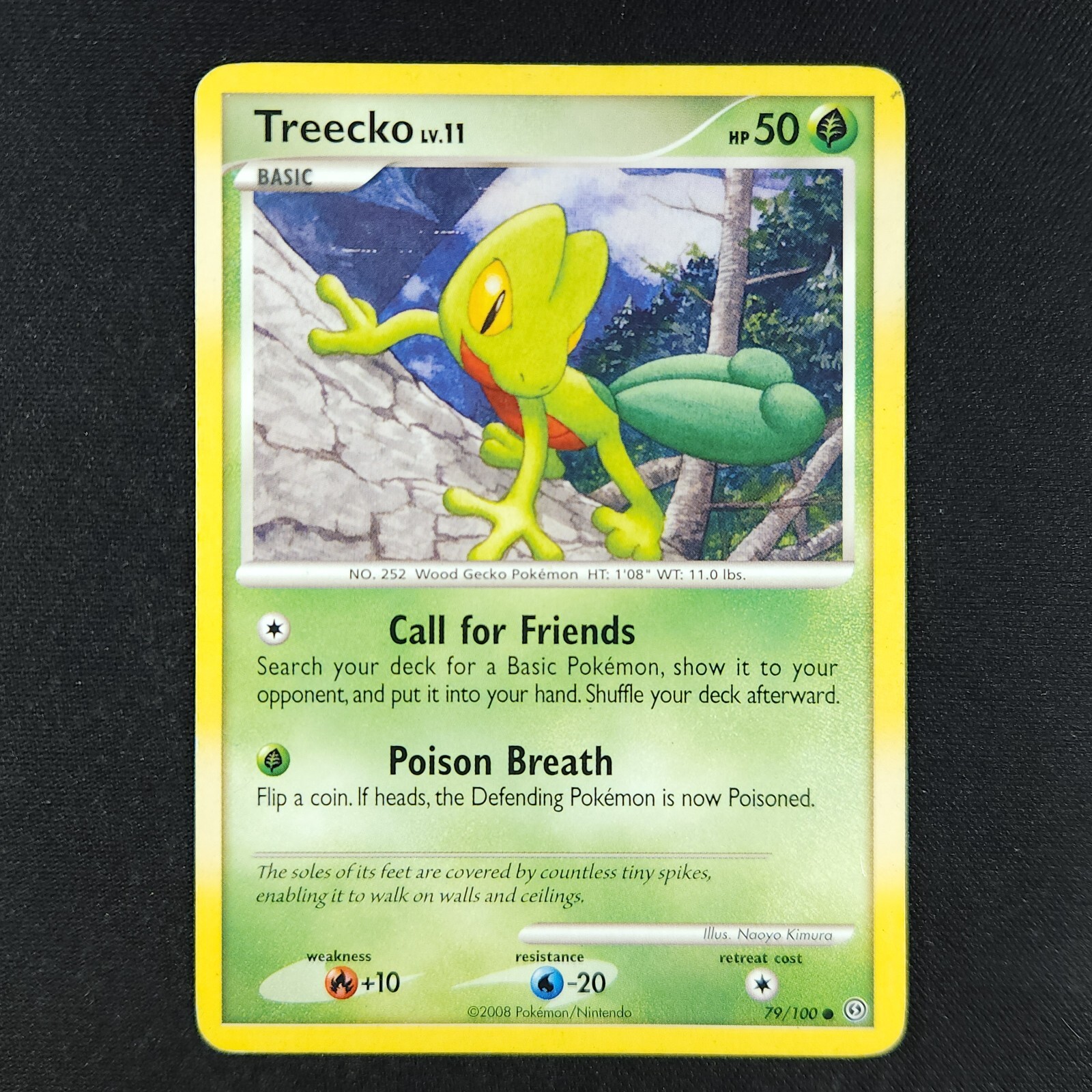 Treecko 79/100 - Stormfront - Pokemon Card