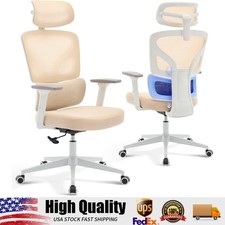 Office Chair Ergonomic Desk Chair,Home Desk Chair with Adjustable Lumbar Support