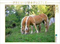 Calvendo Puzzle Haflinger In The Pasture | 1000 Pieces, Finished Size 25.2 × 18.
