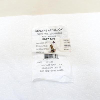 Arctic Cat Snowmobile OEM 1/4-20x.75 Machine Screw 8017-580 | eBay