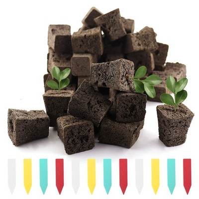 YBB 50 Pcs Seed Starter Plugs, Rapid Root Plugs Organic 1.2 inches, Square 