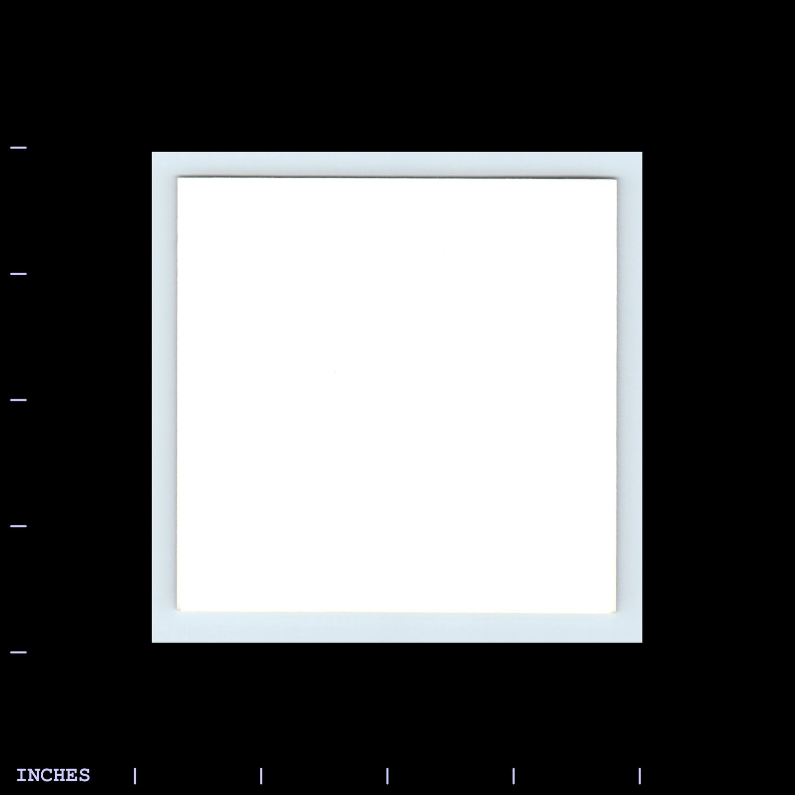 Old Vintage Square Color Photo SOLO WOMAN BY DEAD HAMMERHEAD SHARK CATCH