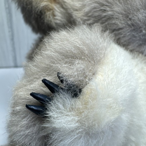 Rare Koala Bear Music Box Toy With Real Animal Fur - Picture 9 of 11