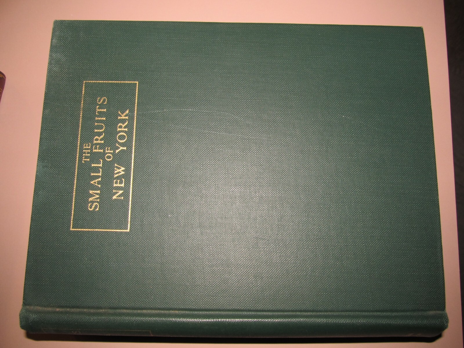 Picture 2 of 7