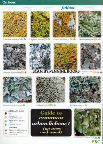 Frank Dobson Guide To Common Urban Lichens (poster) (us Import)