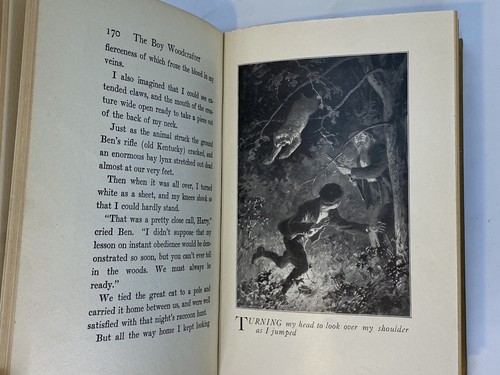 The Boy Woodcrafter by Clarence Hawkes, 1913, nature, Boy Scouts hc/dj 1st ed - Picture 18 of 19