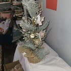 Picture 4 of 7