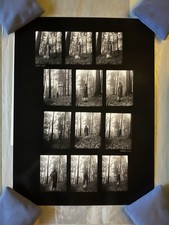 Taylor Swift Folklore In the Trees Poster Lithograph 18x24 Limited Edition