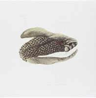 Brand New - Mene - Vinyl Record 7 - G3Z