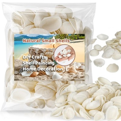 90 PCS White Sea Shells - Small Clam Shells for Crafts Tiny SeaShells Bulk