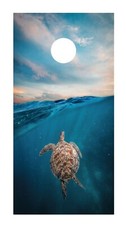 Corn Hole Board Wrap - Sea Turtle Set Cornhole D3
