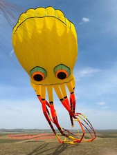 new 3D eyes 15m 1 Line Stunt Parafoil Octopus POWER Sport Kite outdoor toy