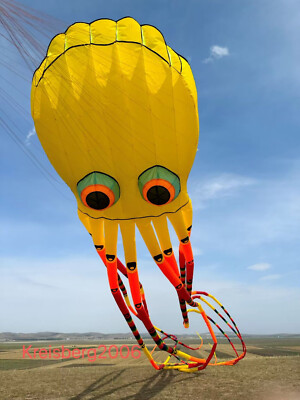 new 3D eyes 15m 1 Line Stunt Parafoil Octopus POWER Sport Kite outdoor toy