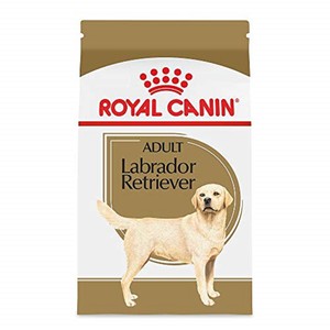 royal canin lab adult