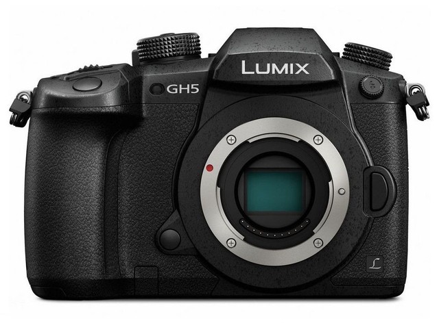 Panasonic LUMIX DC-GH5 20.3 MP Digital 