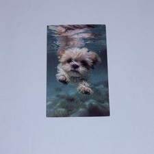 Cute Puppy Swim Underwater Sticker Shih Tzu Dog Vinyl Art Decal Decor Tc9