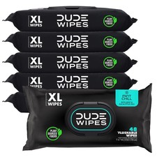 Flushable Wet Wipes for Adults Mint Scented Extra Large 288 Count 6 Pack