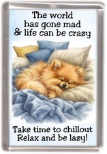 Pomeranian Dog Fridge Magnet by Starprint