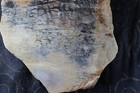 Picasso Marble/Jasper End Piece - 1 Lb, 9 Ozs - Lapidary - Crafts - Display — photo 4