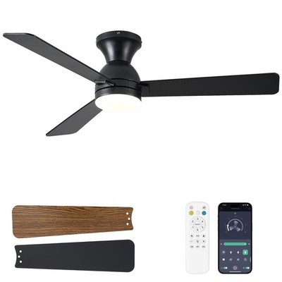 Ceiling Fans with Lights, 48 inch Low Profile Ceiling Fan with Light and Remo...
