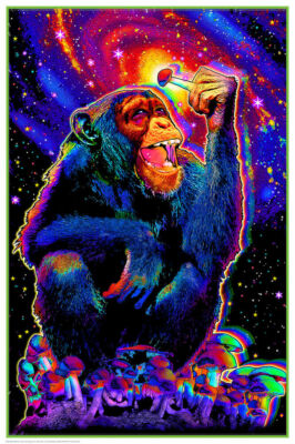 Monkey Mushroom - Non-flocked Blacklight Poster 24'' x 36''