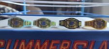 WWF WWE Custom Intercontinental Championtitel Hasbro Figuren 