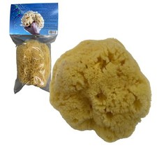 Awesome Aquatic Natural Sea Sponge Amazing Natural Renewable Resource"Creatin...