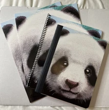 Panda Stationary Set 