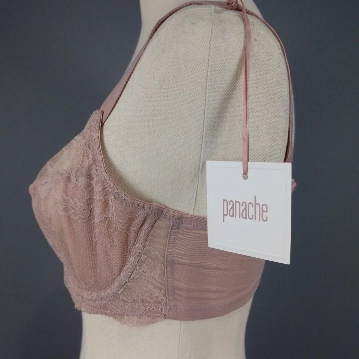 Panache Ana Plunge Womens Bra Size 10E Vintage Stretch Lace Powermesh Lingerie - image 3 of 4