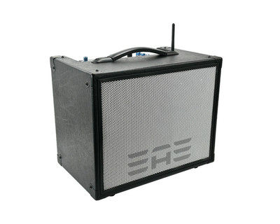 EAE D6-58 (Open Box) 120W  Rechargeable 8  + 5  Acoustic Guitar Amplifier -Black