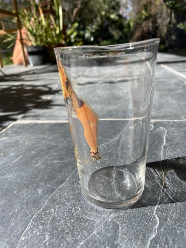 YOU PICK ONE George Petty Girl Risqué Highball Drinkware Vintage Pin Up Peek - Picture 4 of 7
