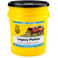 Select Legacy Pellets 20Lb Joint Support For Horses 1 Pack