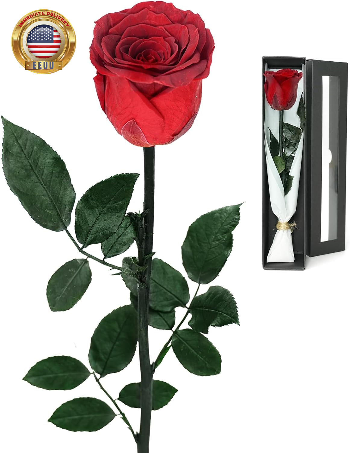 Forever Rose, Real Fresh Flower, Preserved Flowers, Eternal Roses, Single Red Ro