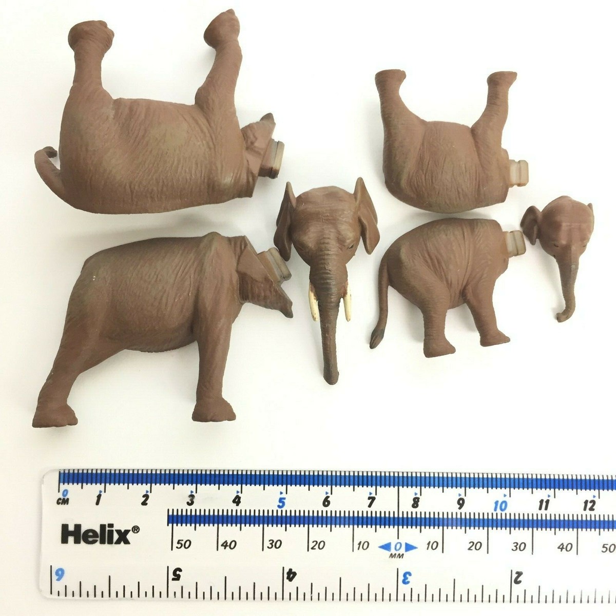 Bandai World Wild Animals Asia Oceania Mini Figure #3 Asian