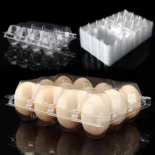 48 PCS Egg Cartons Cheap Bulk Empty Plastic Chicken Egg Carton Each Holds Half
