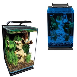 5 Gallon Glass Portrait Aquarium Betta Fish Tank Filtered Led